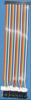 Image of GPIO Extension cable/lead Rainbow 40way Female connector to 40 individual Female sockets for breadboard etc. (20cm)