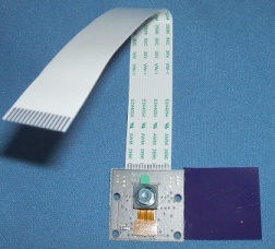 Image of 5M Pixel 'Pi NoIR' Camera board for the Raspberry Pi (NO IR Filter)